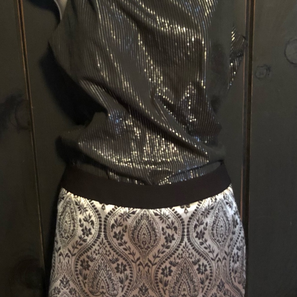 Silver skirt with silver threaded skirt - Picture 2 of 3